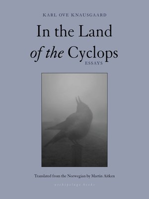 cover image of In the Land of the Cyclops